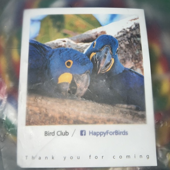 NIP Bird Perch Set - Picture 5 of 5